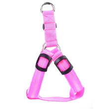 Load image into Gallery viewer, Bright Night Pet LED Harness
