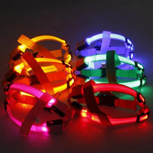 Load image into Gallery viewer, Bright Night Pet LED Harness
