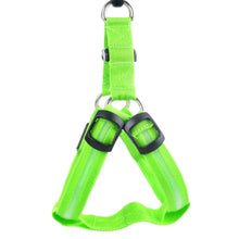 Load image into Gallery viewer, Bright Night Pet LED Harness
