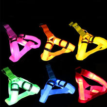 Load image into Gallery viewer, Bright Night Pet LED Harness
