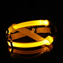 Load image into Gallery viewer, Bright Night Pet LED Harness
