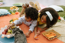 Load image into Gallery viewer, Bubble Gum Stripe Bow Tie for Boys
