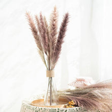 Load image into Gallery viewer, Bulrush Natural Dried Flowers Artificial Branch Pampas Grass Phragmites Fake Flower Wedding Home Decoration Christmas Decor
