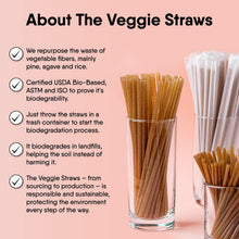 Load image into Gallery viewer, 300 Individually Wrapped Eco-Friendly Drinking Straws, 8.25" Long, 6mm Diameter
