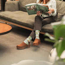 Load image into Gallery viewer, Houseplants Bamboo
