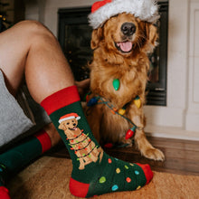 Load image into Gallery viewer, Dog Gone Lights
