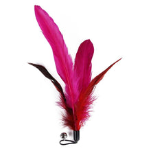 Load image into Gallery viewer, Cat Feather Toy Set Cat Feather Teaser Wand Toy for Kitten Cat Having Fun Exercise Playing Without the Stick Interactive Cat Feather Toys  Retractable Cat Wand Toy and Feathers Teaser Refills Cat Toys for Indoor

