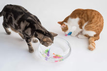 Load image into Gallery viewer, Cat Interactive Electric Fish Toy Water Cat Toy for Indoor Play Swimming Robot Fish Toy for Cat and Dog with LED Light  Pet Toys New Bath Toys Interactive Plastic Fish Toys Electronic Cat Toy Gift to Stimulate Your Pet's Hunter Instincts
