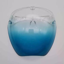 Load image into Gallery viewer, ClearShield Anti-Spray Eyewear
