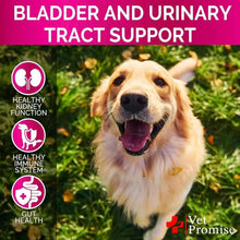 Load image into Gallery viewer, Cranberry Dog UTI &amp; Bladder Control Chews
