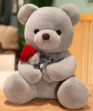 Load image into Gallery viewer, Mandotos Cuddly Rose Teddy Pillow With Red Rose Detail And Plush Bear Sizes 25 35 45 cm

