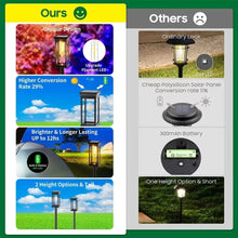 Load image into Gallery viewer, ☀️ Kidsjoy Solar Pathway Lights – 6 Pack

