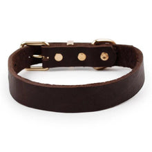 Load image into Gallery viewer, Elegant Leather Pet Collar
