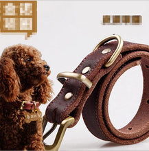 Load image into Gallery viewer, Elegant Leather Pet Collar
