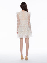 Load image into Gallery viewer, Flowery Embroidered Lace V-Neck Mesh Mini Dress
