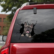 Load image into Gallery viewer, Funny Dog Head In The Crack Vinyl Car Funny Dog Head In The Crack Vinyl Car Stickers Decals Motorcycle Accessories Car-window Decorative Goods Broken Glass Sticker Car Stickers Decals Motorcycle Accessories Car-window Decorative Goods Pvc Car Sticker
