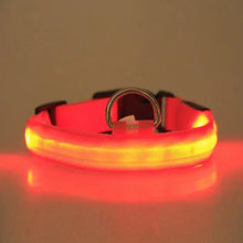 Load image into Gallery viewer, GlowGuard LED Pet Collar
