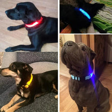 Load image into Gallery viewer, Glowing Night Safety Pet Collar
