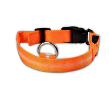 Load image into Gallery viewer, Glowing Night Safety Pet Collar

