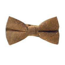 Load image into Gallery viewer, Lucky Penny Boys Bow Tie

