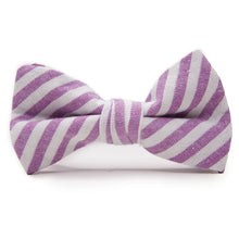 Load image into Gallery viewer, Iris Stripe - Bow Tie for Boys
