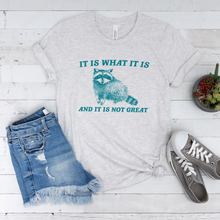 Load image into Gallery viewer, It Is What It Is Racoon Tee OR Sweatshirt
