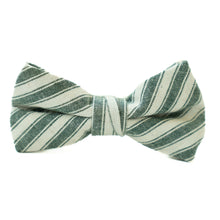 Load image into Gallery viewer, Juniper Stripe Boys Bow Tie
