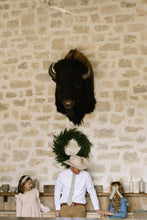 Load image into Gallery viewer, Juniper Stripe Lady Hair Bow
