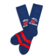 Load image into Gallery viewer, Lane Train Casual Crew Socks
