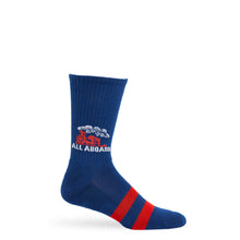 Load image into Gallery viewer, Lane Train Casual Crew Socks
