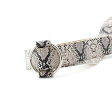 Load image into Gallery viewer, Leopard PU Leather Pattern 105cm Round Buckle Belt Women Trendy Dress Cute Classic Belts
