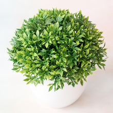 Load image into Gallery viewer, Love Art Set of 6 Small Artificial Decor Bonsai Potted Plastic Fake Flowers for Home Garden Office Desk Wall Book Shelf Decor Room Hotel  Decor
