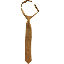Load image into Gallery viewer, Lucky Penny Boys Tie
