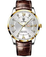 Load image into Gallery viewer, Luminous Men's Waterproof Dual Calendar Watch
