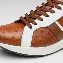 Load image into Gallery viewer, Lyon II Brandy / White
