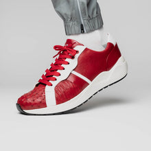 Load image into Gallery viewer, Lyon II Red / White
