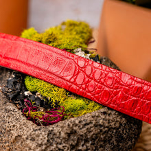 Load image into Gallery viewer, Riccardo Belt Light Red
