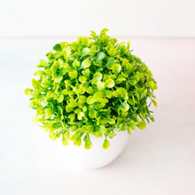 Load image into Gallery viewer, Mini Cute Artificial Bonsai Potted Plastic 15x16cm Friend's Gift Fake Decor  with Plastic Pots Fake Flowers Arrangements for Home Decoration
