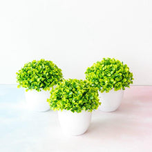 Load image into Gallery viewer, Mini Cute Artificial Bonsai Potted Plastic 15x16cm Friend's Gift Fake Decor  with Plastic Pots Fake Flowers Arrangements for Home Decoration
