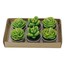 Load image into Gallery viewer, Mini Delicate Succulent Plants Candles Cactus Tea light Candles Handmade Delicate Succulent Cactus Candles Flameless Aromatherapy Candles For Birthday Party Wedding Spa Handmade Aromatherapy Candles For Birthday Party Wedding Home Decor Plant Candle
