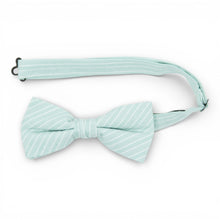 Load image into Gallery viewer, Mint Stripe - Men's Pre-tied Bow Tie
