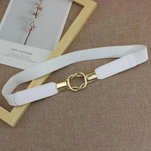Load image into Gallery viewer, Modern Wide Fabric Strap Silver Metal Buckle Belts For Women Trendy Fashion Stretchable Classic Belts
