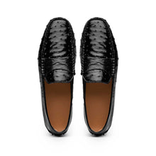 Load image into Gallery viewer, 33-100-BLK MONZA Ostrich Quill Driver, Black
