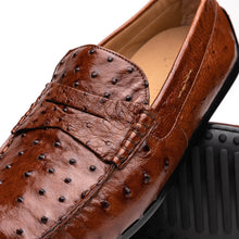 Load image into Gallery viewer, 33-100-BDY MONZA Ostrich Quill Driver, Brandy
