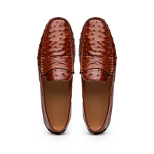 Load image into Gallery viewer, 33-100-BDY MONZA Ostrich Quill Driver, Brandy
