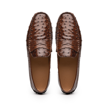 Load image into Gallery viewer, 33-100-BRN MONZA Ostrich Quill Driver, Brown
