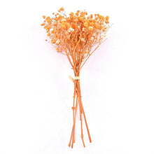 Load image into Gallery viewer, Natural Gypsophila Dried Flowers Mini Babysbreath Flower Preserve Floral  Decor Bouquet Wedding Party Home Backdrop Decor 12cm
