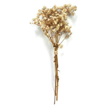 Load image into Gallery viewer, Natural Gypsophila Dried Flowers Mini Babysbreath Flower Preserve Floral  Decor Bouquet Wedding Party Home Backdrop Decor 12cm
