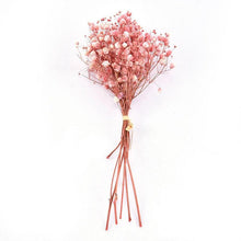 Load image into Gallery viewer, Natural Gypsophila Dried Flowers Mini Babysbreath Flower Preserve Floral  Decor Bouquet Wedding Party Home Backdrop Decor 12cm
