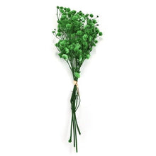 Load image into Gallery viewer, Natural Gypsophila Dried Flowers Mini Babysbreath Flower Preserve Floral  Decor Bouquet Wedding Party Home Backdrop Decor 12cm
